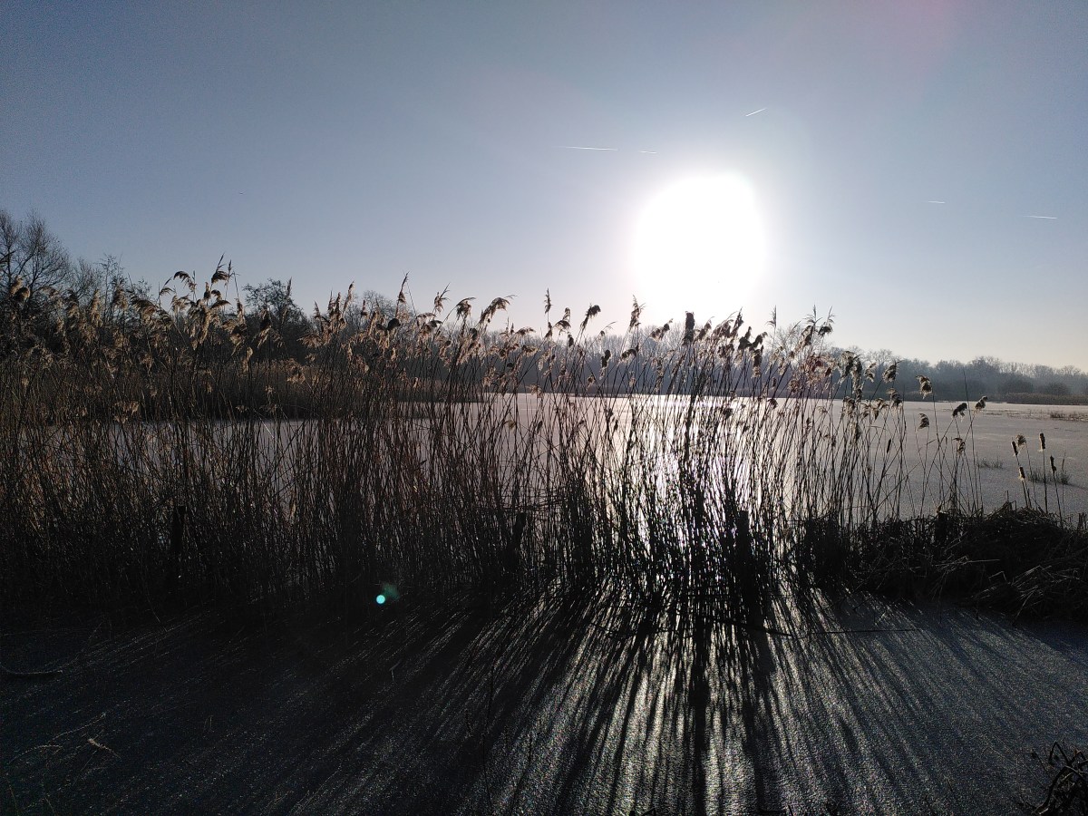 De energie van de&nbsp;buitenmens