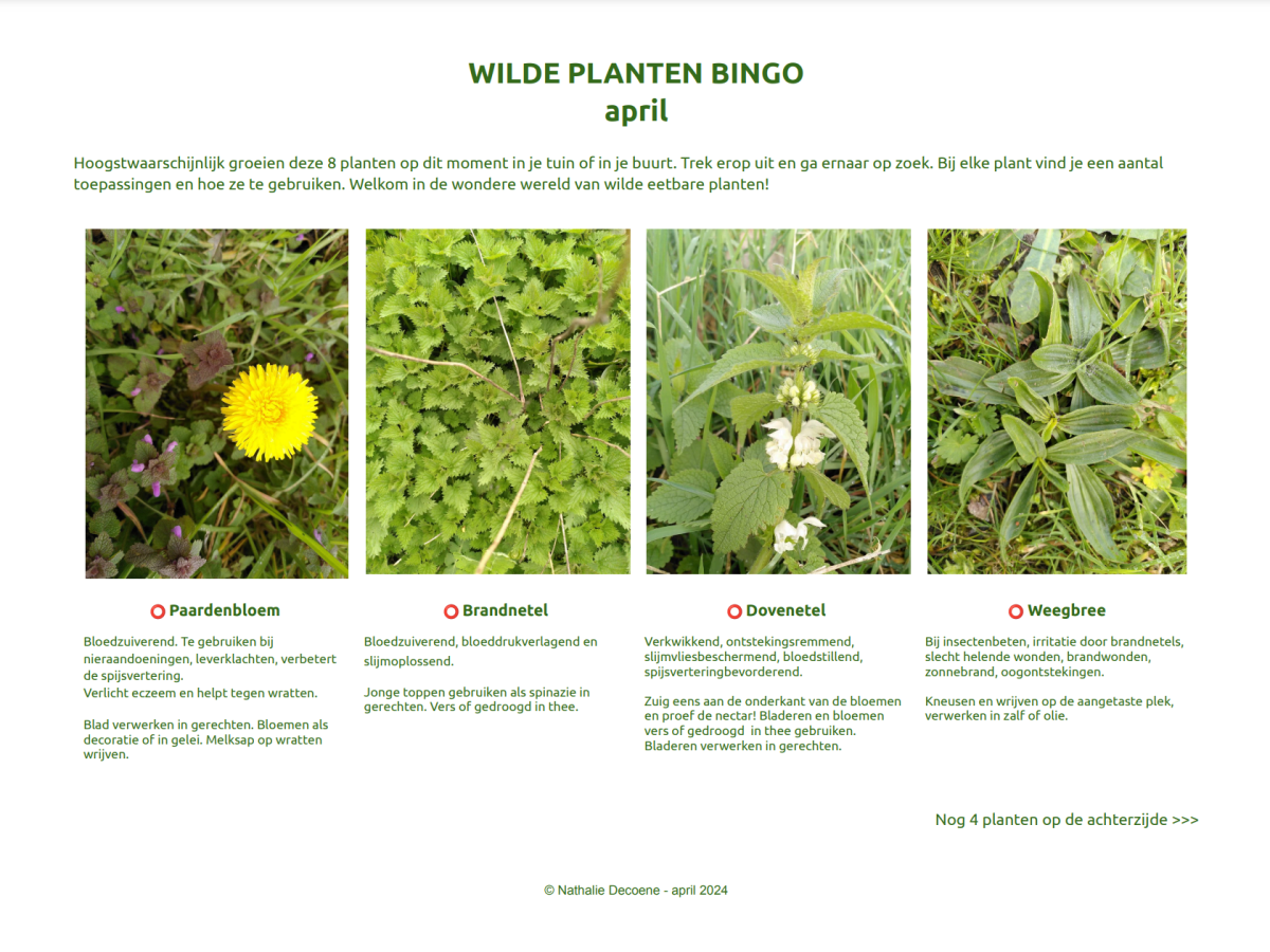 Plantenbingo april 2024