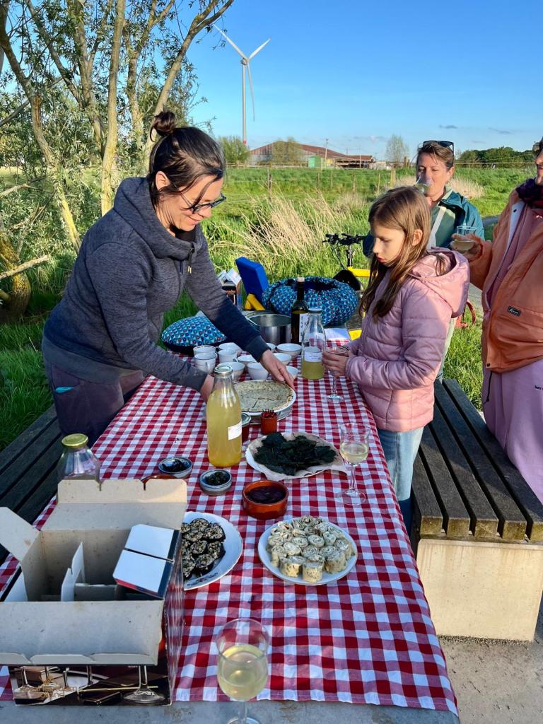 WAW-wilde apéro wandeling: het ideale instapformat voor wie wil kennismaking met wildpluk en wildeten. Ook gewoon ontspannend, gezellig én lekker! 
